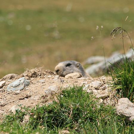 Apart Hotel Garni Alvetern Samnaun Buitenkant foto